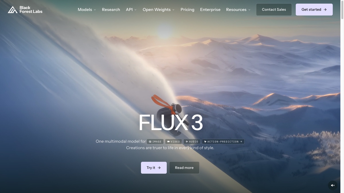 Black Forest Labs home page showing the FLUX model family